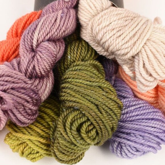 Julie Asselin Leizu DK Mini Skein Yarn Bundle Merino Silk Blend Garden Party - Picture 2 of 4